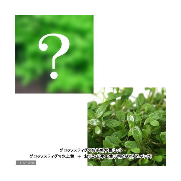 ijOb\XeBO}yiZbg@Ob\XeBO}{܂ti_jiRPO{j