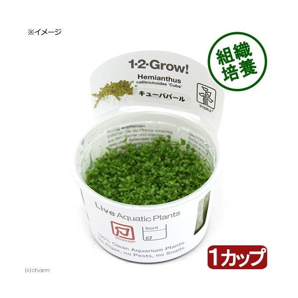 ijgD|{P|Q|fqnvI@L[op[OX@gsJi_jiPJbvj@kCEBq֗vۉ