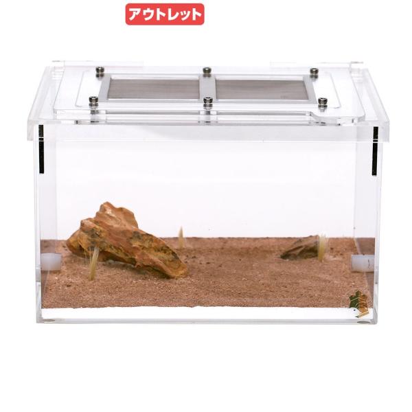 リトルカーペンターズ　アリ飼育用　レイアウト済み中餌場　昆虫　飼育用品　アリ　アリの巣　自由研究　夏休み　コロニー　部屋　巣　飼育　hwlist　20220614　KSZK　y22m06　lineinc15　虫　飼育容器　ムネアカオオアリ　...