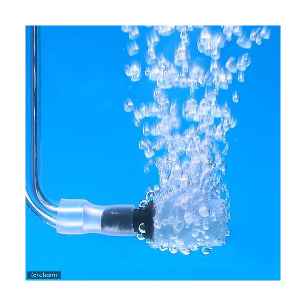 GA[Xg[@GA[VZbg@`biR[j`@u[@GAXg[