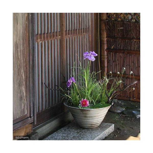 @@Y@萇@@vqā@ʁir`hj@Q@My@aTO