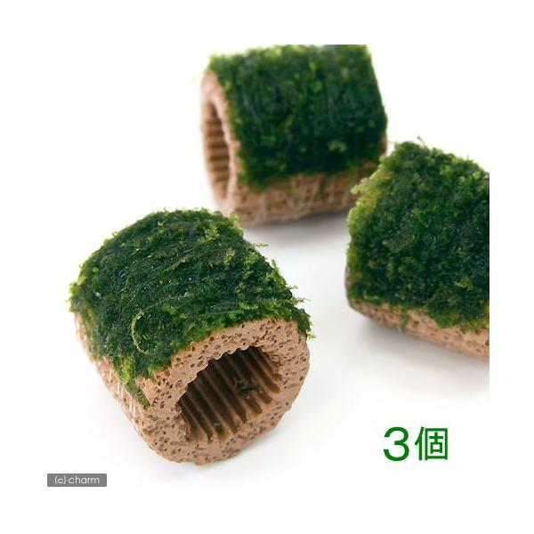 ijā@Ct}`ijăEB[Xitji_jiRj