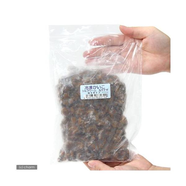 ⓀⓀ@ۃTiM@^Cv@ROO@ʓrN[萔@퉷is