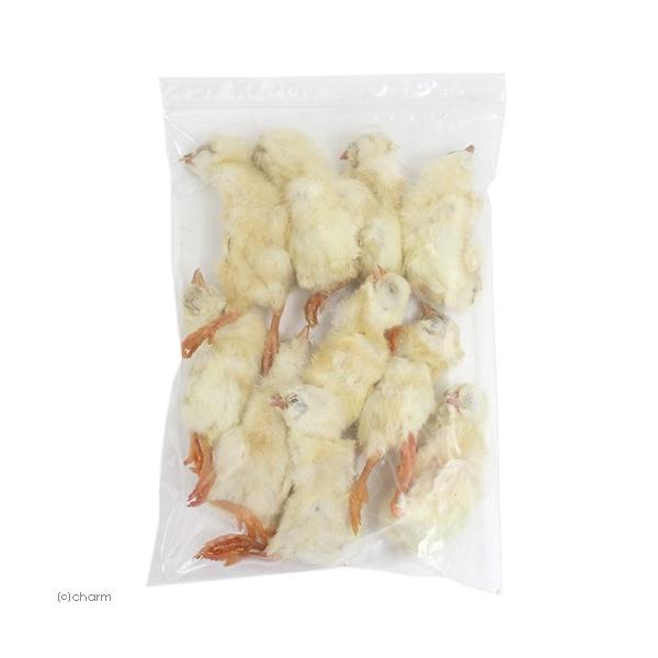 ⓀⓀqR@POHpbN@ʓrN[萔@퉷is