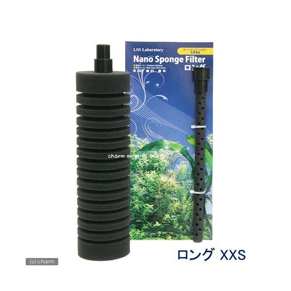 krr@{́@mX|WtB^[@Oiwwrj