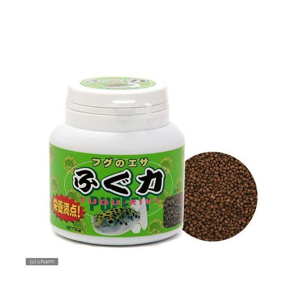 tÔ@ӂ́ietft|qhjhj@RO@~htO@WtO@a@GT@