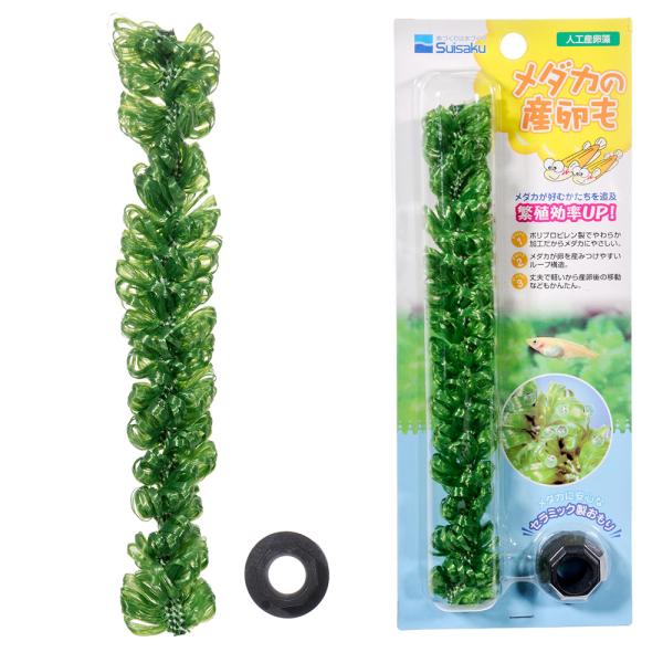 メーカー：水作 アクアリウム用品　アクア用品　水槽用アクセサリ　人工水草　水作　メダカの産卵も　人工産卵藻　器具　仕切り板/産卵箱　きんらん　産卵藻　hipnb88　_aqua　xl15ba6r　4974105005405　sannrann...