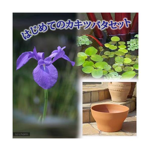 水草 ポット Diy 工具の人気商品 通販 価格比較 価格 Com