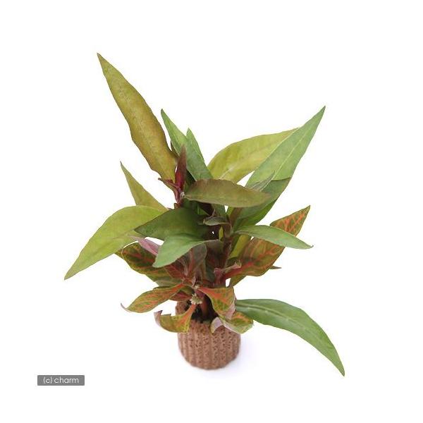 ijCt}`ijAeie~bNXitji_jiPj