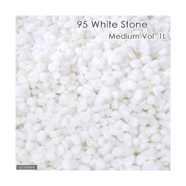 mDXT@v@rizCgXg[j@~fBA@Pk@llPQ_