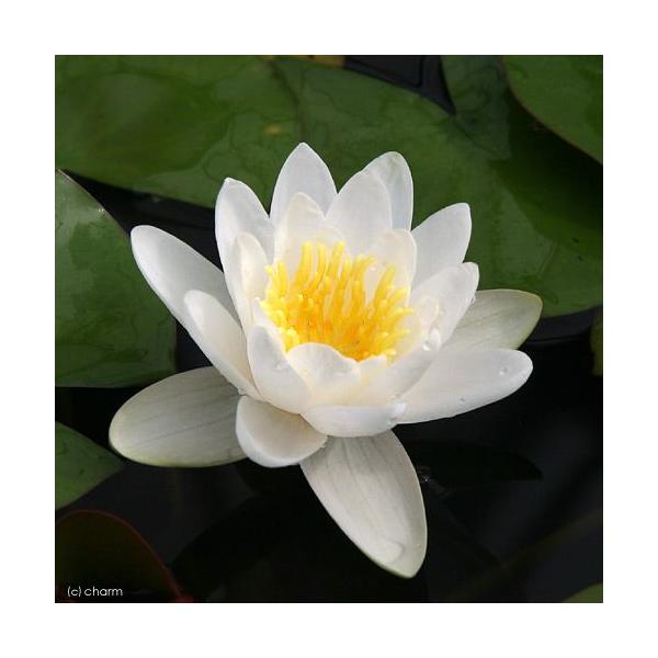 irIg[vj@@ѐ@iXCjij@}AZA@Ar_@l@`@iP|bgjixԁj