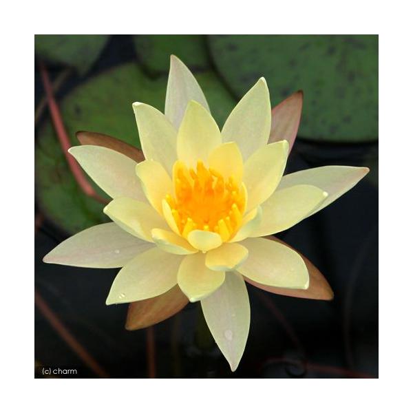 irIg[vj@@ѐ@iXCjij@xbcB[@TJ^@ar@r@iP|bgjixԁj