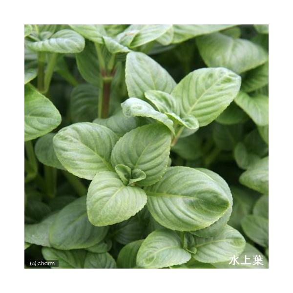 ijmtBDCi[hiC{CXjitji_jiT{j