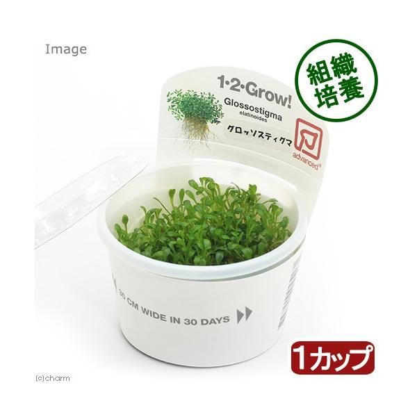 ijgD|{P|Q|fqnvI@Ob\XeBO}@gsJi_jiPJbvj@kCEBq֗vۉ