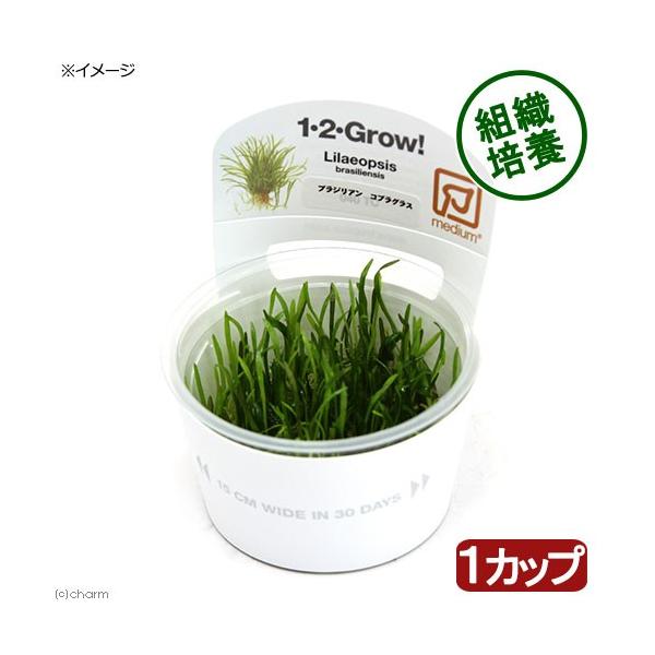 ijgD|{P|Q|fqnvI@uWA@RuOX@gsJi_jiPJbvj@kCEBq֗vۉ