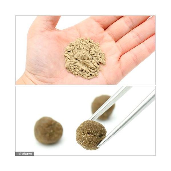 ｐａｃｍａｎ ｆｏｏｄ パックマンフード ８ｏｚ ２２６ ８ｇ カエル用 餌 エサ Buyee Buyee Japanese Proxy Service Buy From Japan Bot Online