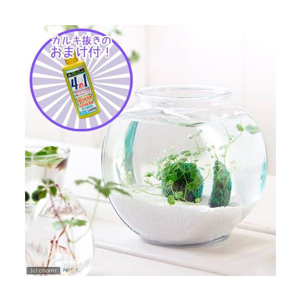 ij̏ȃANAE@`ӂ̃m`h{[`@AJh@@{Bl@llR_