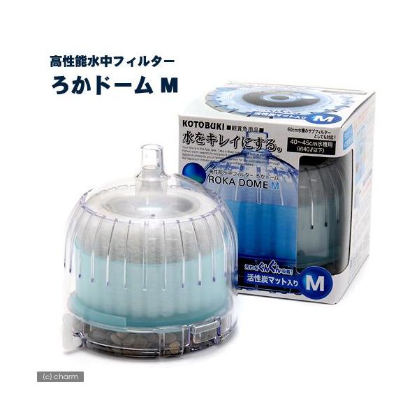 RguLH|@{́@납h[@l@SO`STptB^[EݎtB^[