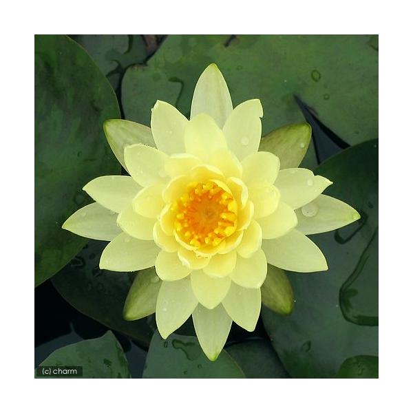 irIg[vj@@ѐ@iXCjij@@~Xg@k@lr@iP|bgjixԁj