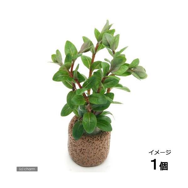 ijCt}`ij^DAi~Jitji_jiPj