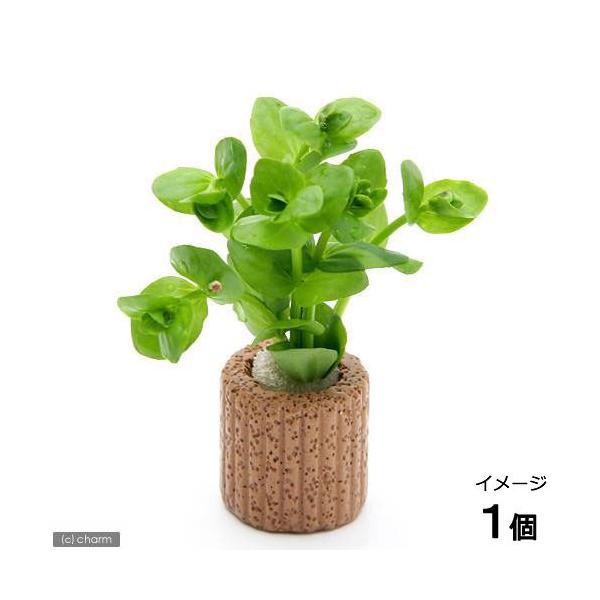 ijCt}`ijh}AR_[^itji_jiPj