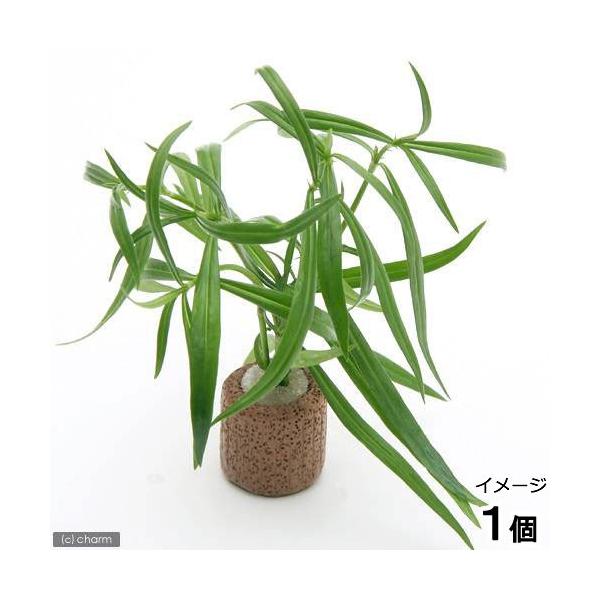 ijCt}`ijPjICOT@IWitji_jiPj