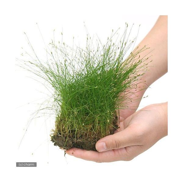 ijwA[OX@ytiUOpjitji_jiQV[gj