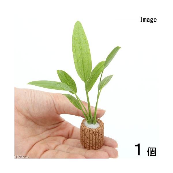 ijCt}`ij܂GLmhXitji_jiPTjiPj