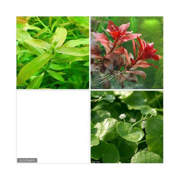 ijrMi[R_Zbgitji_jiPpbNjitj