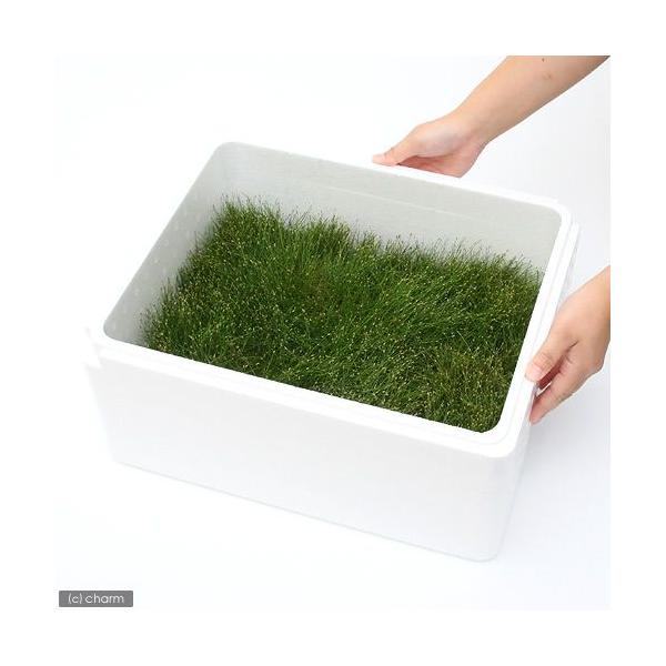 ijwA[OX@V[gitji_jiPP[Xj