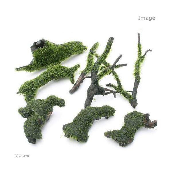 ijā@EB[X@؁@W_Zbgitji_jiPZbgj