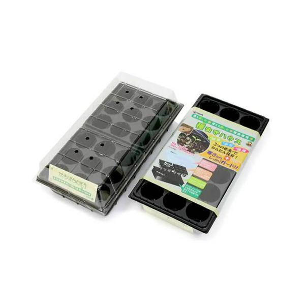 c`hl@܂nEXiJo[gCẗc|bgj