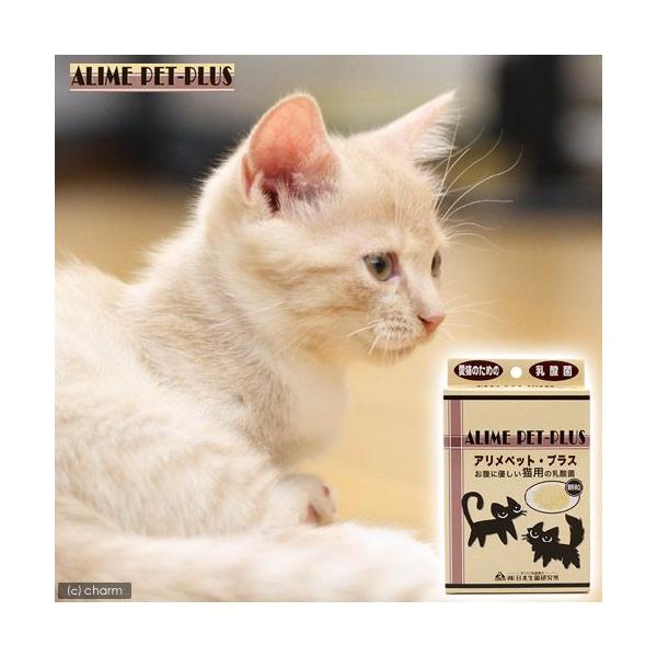 L@Tv@AybgEvX@Lp@TO@Lbgt[h