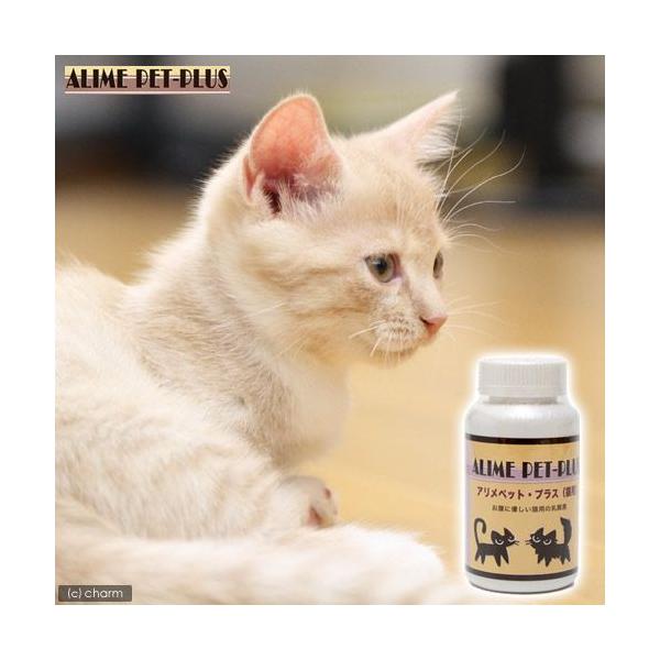 L@Tv@AybgEvX@Lp@PQO@Lbgt[h