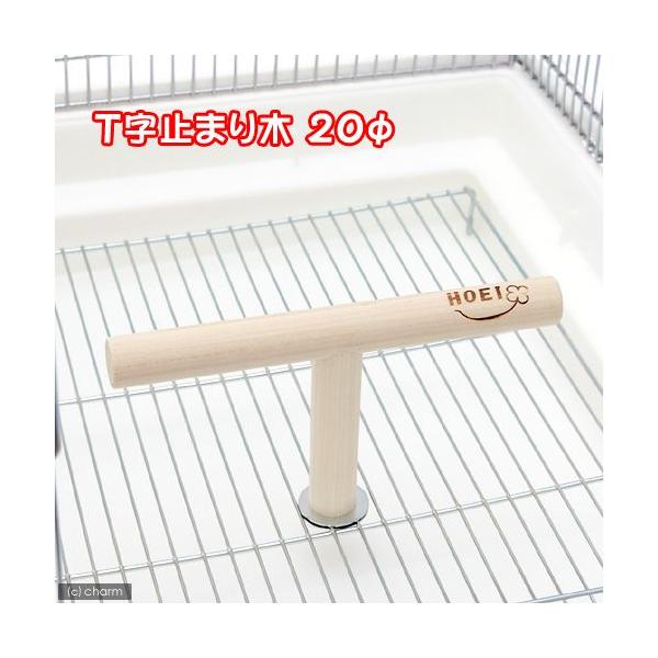 gndh@s~܂؁@aQO@ZLZC@IJ@^CRIE