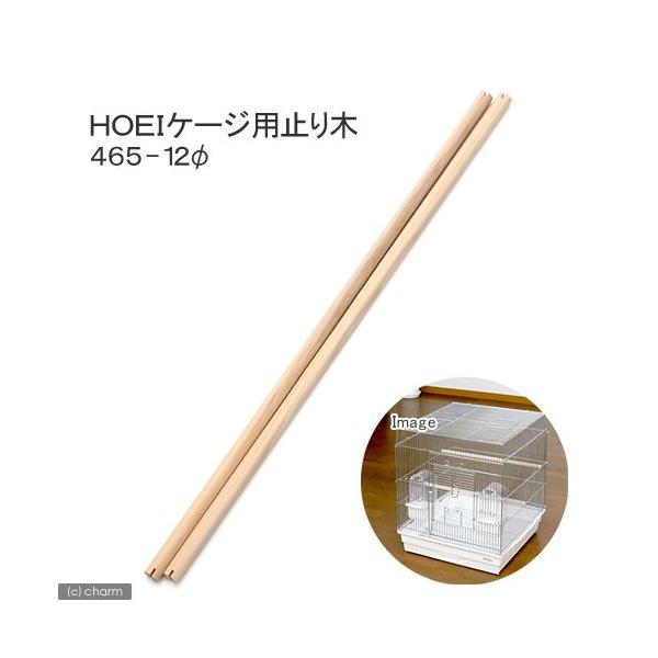 gndh@SUTP[Wp@~܂؁@SUT|aPQ@Q{g@@~܂