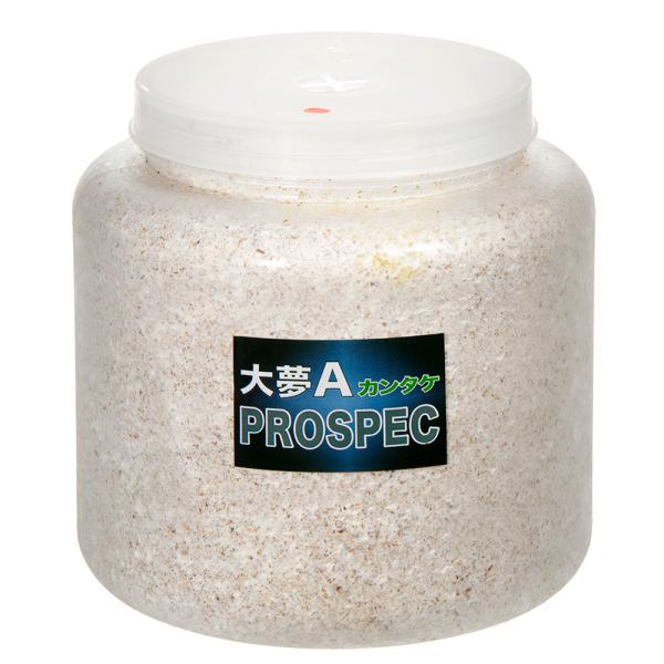 メーカー：ブリーダーズファーム coollogist　夏季クール対応　昆虫用品　飼育用品　ブリードシーズン　菌糸ビン　オリジナル飼育セット　菌糸ビン幼虫セット　▲ニジイロクワガタ　startset_insect　startset_kuwag...