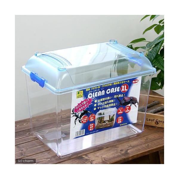 OW@bkd`m@b`rd@N[P[XiwkjiSQO×QUT×RQWj@vP[X@@e