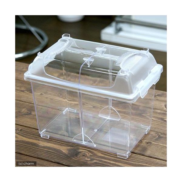 OW@ƖpN[P[Xd؂t@d؂XCh@riQRT×PTT×PWTj