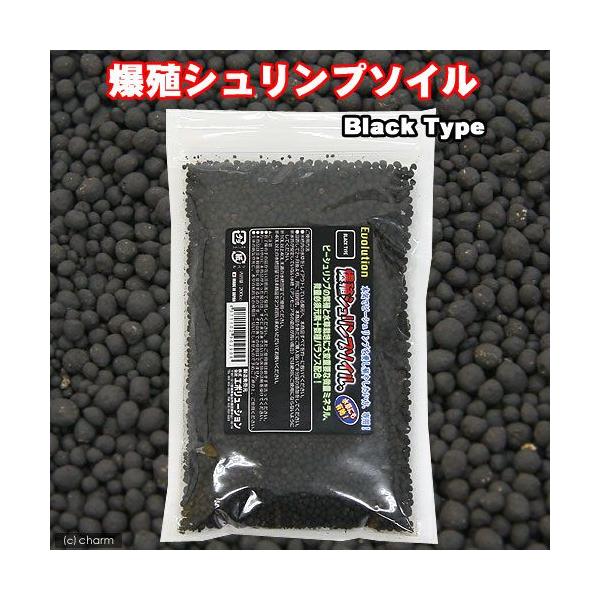 G{[V@BVv\C@ubN@QOO@Mы@pi