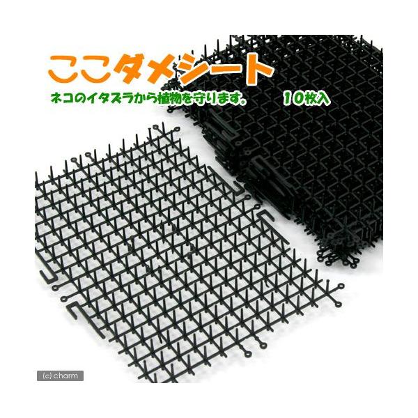 メーカー：第一ビニール _neko　ガーデニング　猫よけ　ネコ　花壇　プランター　家庭菜園　いたずら　忌避剤　園芸用品　_gardening　4968438010762　opa2_stop　猫除け　猫避け　kosimizusaibai_pio