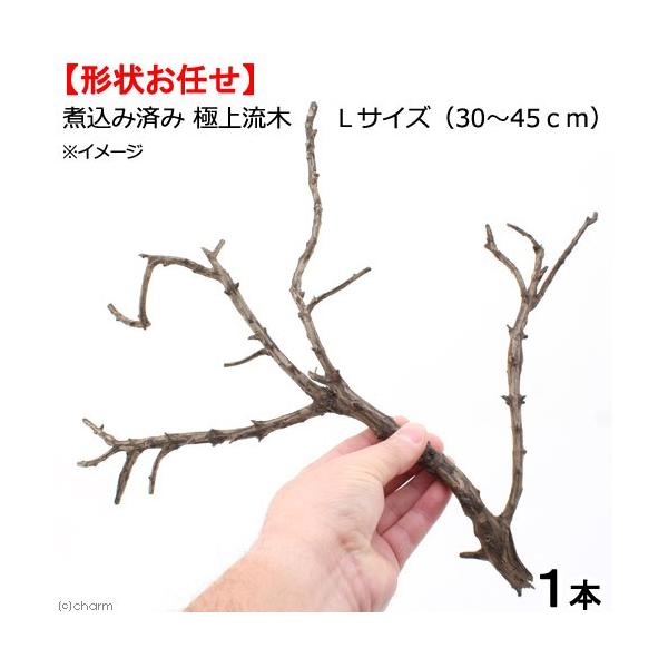 水槽用流木 13本と枝流木3本セット　15〜25cm Amazon | 1個の水族館流木枝天然木の爬虫類トランクウッド水槽の