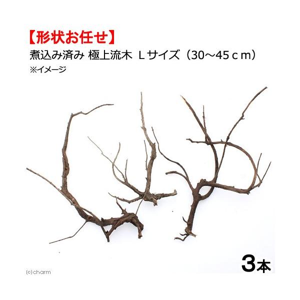 `󂨔C@ύݍς݁@ɏ㗬؁@kTCYiRO`STj@R{@ANAE@eE@CAEgf