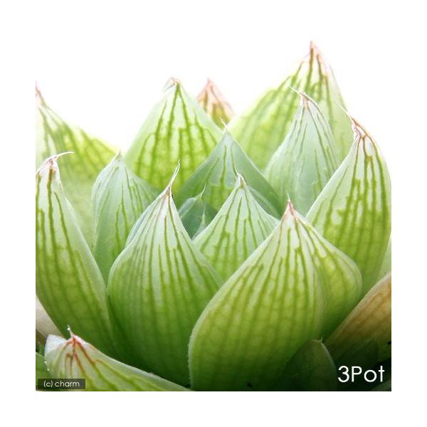 iAjnI`A@i킨܂@QiR|bgj