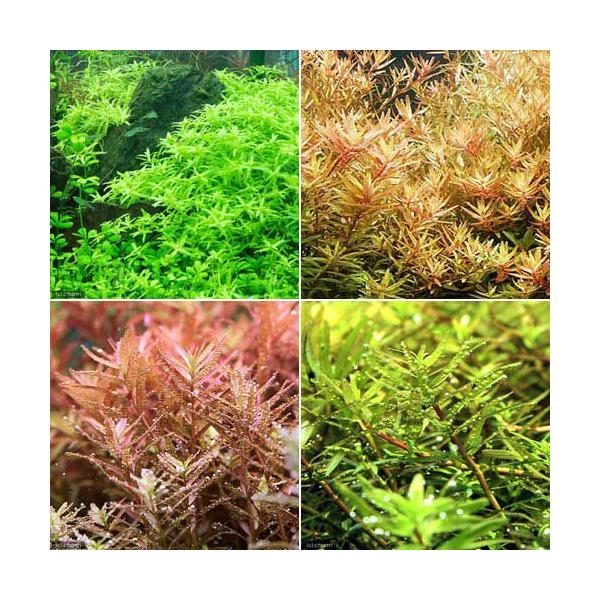 ij^~bNXitji_jiS`TvPT{j