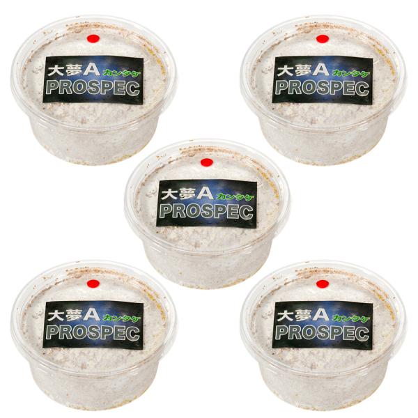 メーカー：ブリーダーズファーム coollogist　夏季クール対応　昆虫用品　kuwagatayotyuugood　飼育用品　ＸＬシリーズ　xlpot2300　kawara　カワラ材・カワラ菌糸ビン　カワラタケ　カブトムシ　クワガタ　用品...