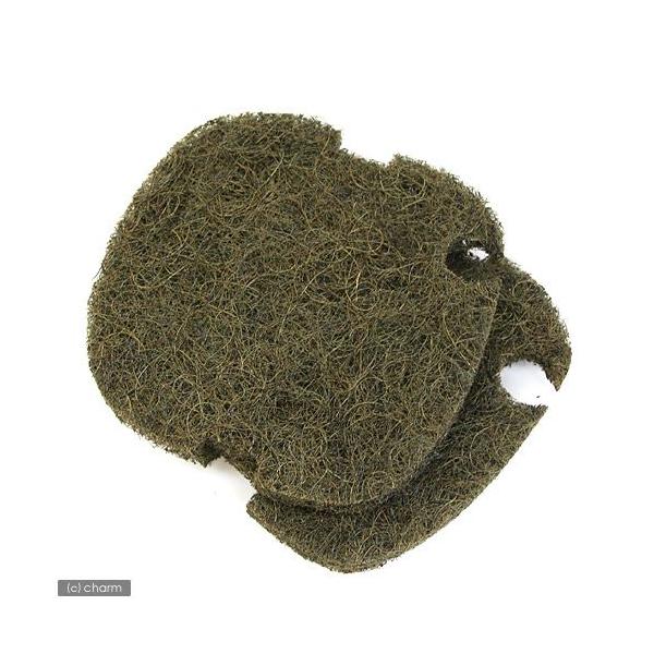 m[uh@VK}bg@UO^VT^XO@Q@Q