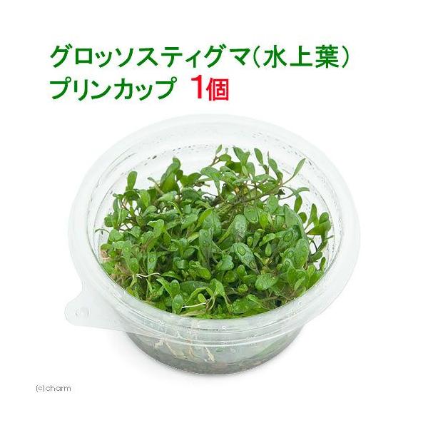 ijOb\XeBO}itjvJbvi_jiPj@kCEBq֗vۉ