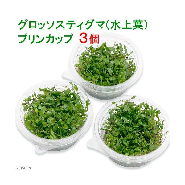 ijOb\XeBO}itjvJbvi_jiRj@kCEBq֗vۉ