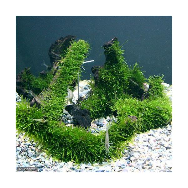 ij琬ρ@EB[X@؁@rTCYiPTjitji_jiR{j